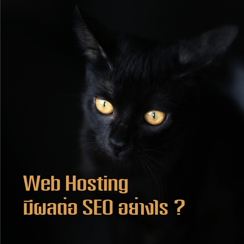 Web Hosting มีผลต่อ SEO อย่างไร